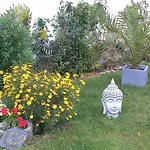 Sapana * Pockau
