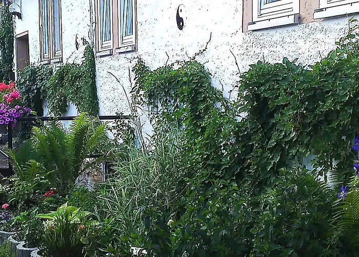 Διαμέρισμα Sapana Pockau